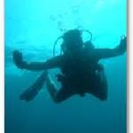 China-Restaurant Goldener Hof